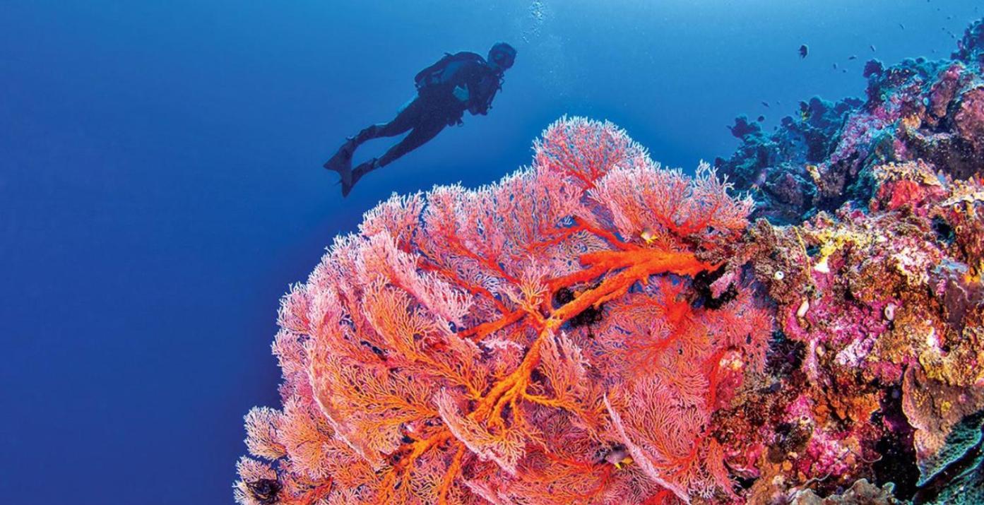 Pristine Paradise Dive Resort - Togean Islands, Una Una Pulau Unauna Bagian luar foto
